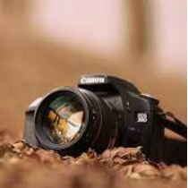 Résultat concours Photo